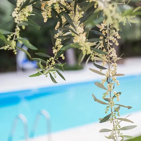 Apartamento Corina &