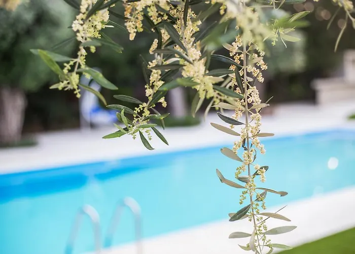 Apartamento Corina &